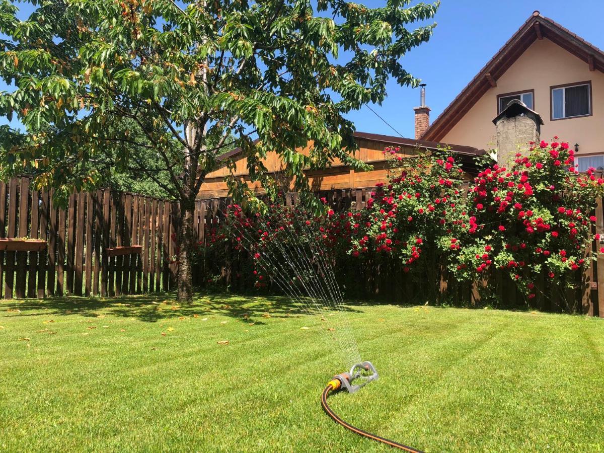 Pensiunea Aliart Zărneşti Exteriör bild