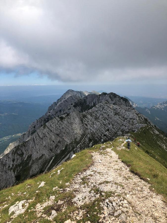 Pensiunea Aliart Zărneşti Exteriör bild