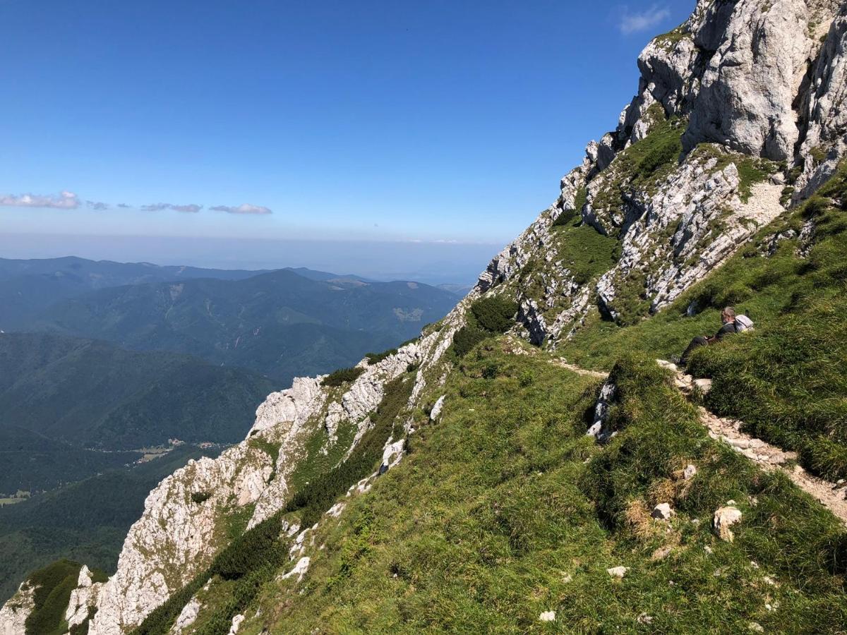 Pensiunea Aliart Zărneşti Exteriör bild