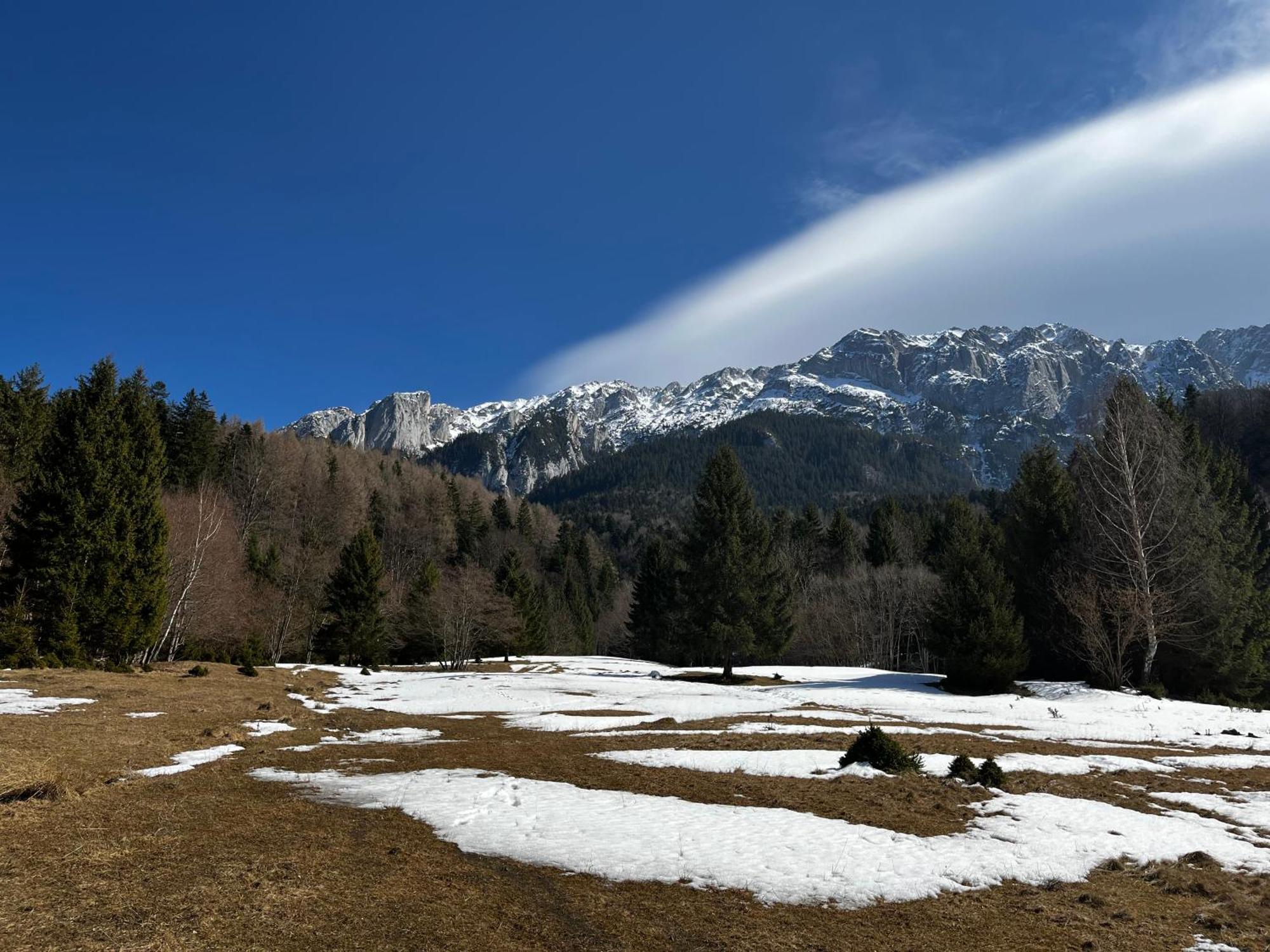 Pensiunea Aliart Zărneşti Exteriör bild